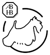 ABHB logo